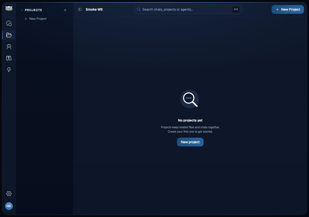 Projects panel in the main sidebar showing a New Project button at the top and the main workspace chat area.